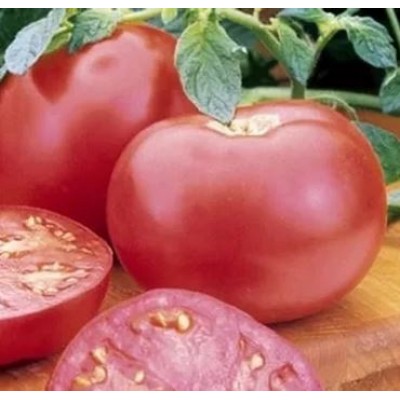 Tomate Chef's Choice Rose, pot compostable 4 po